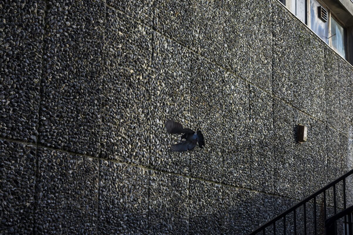 ANH KHOA CAMERA RENTAL