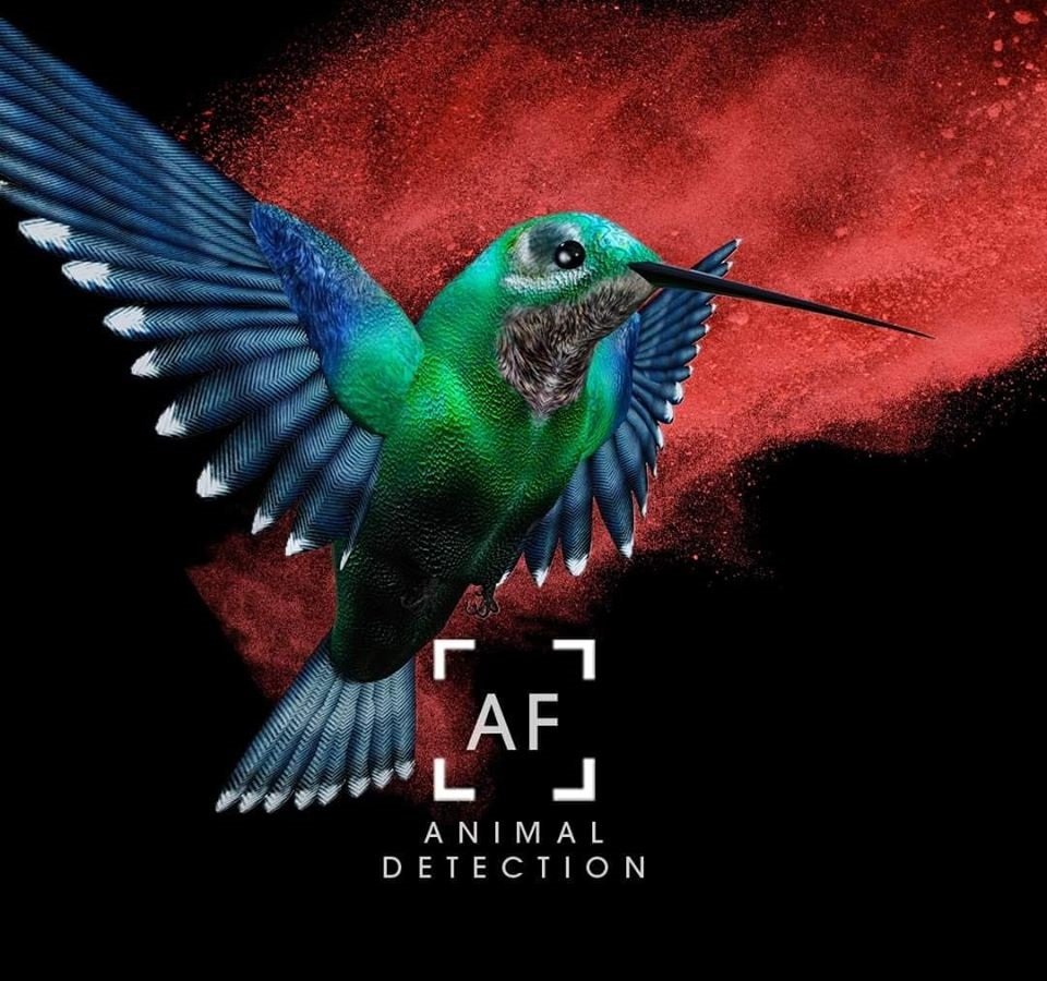 Canon EOS R6 với tính năng Animal Detection AF