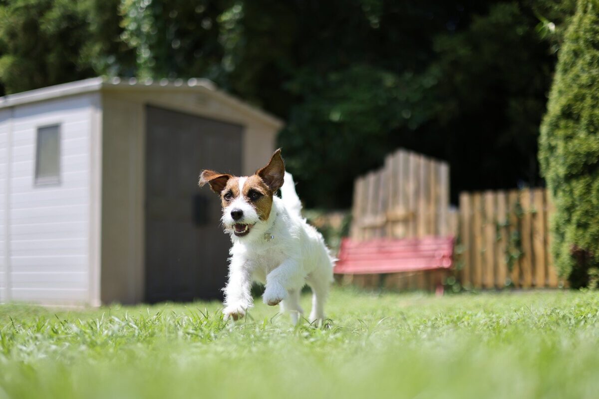 ANH KHOA CAMERA RENTAL