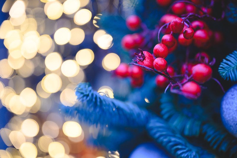 Nikon Z 24-70mm f28 S chụp ảnh bokeh đẹp mắt